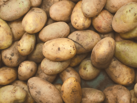 Pommes de terre Corolle