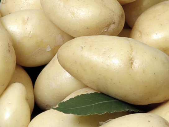 Pommes de terre  Delicatesse