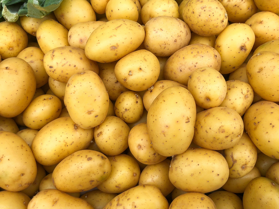 Pommes de terre Chaire Ferme