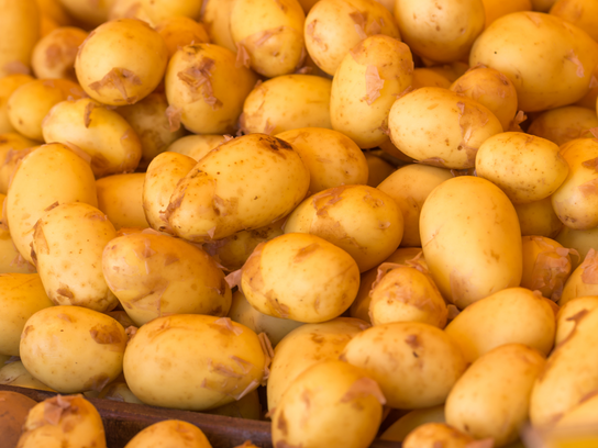 Pommes de terre Grenaille Annabelle