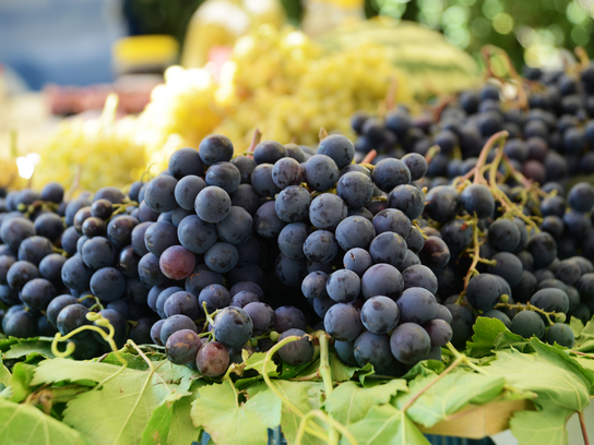 Raisins noirs Prima
