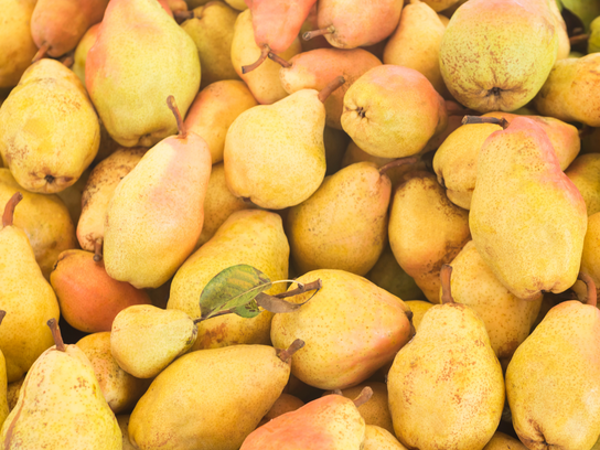 Poire Louise Bonne d'Avranches