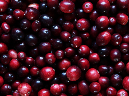 Cranberries Frais