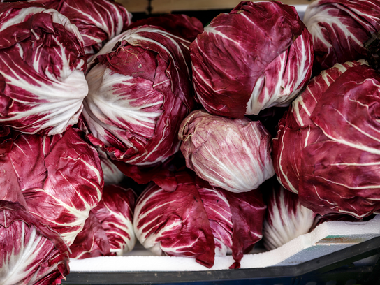 Salade Radicchio