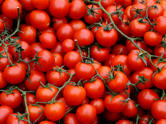 Tomates cerises Rabelais