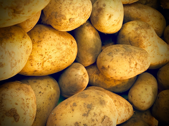 Pommes de terre Mona Lisa frites purée