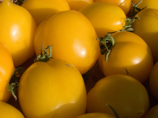 Tomates Lemon Boy
