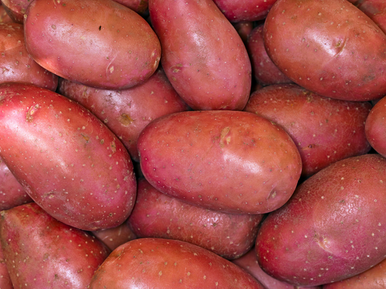 Pommes de terre Désiré