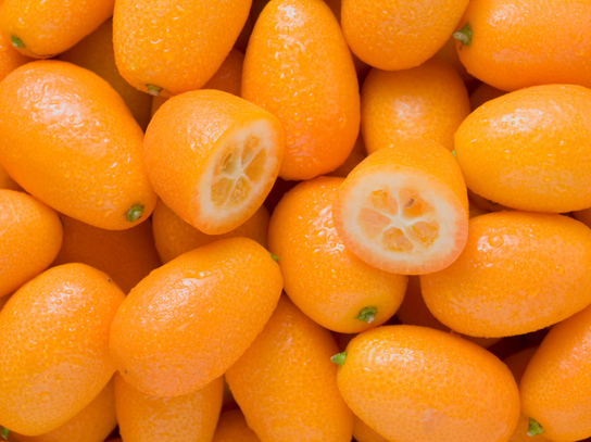 Kumquats BIO
