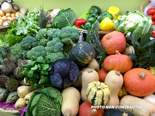 Pack légumes Octobre