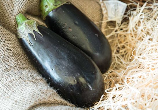 Aubergine de la cueillette
