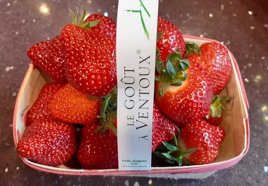 FRAISE BIO