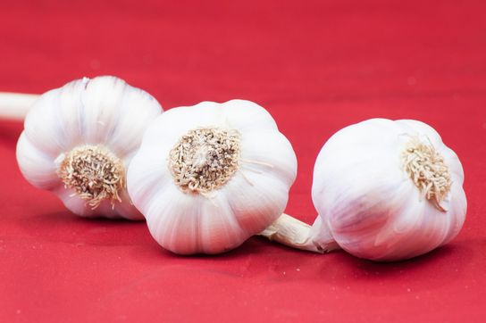 Ail blanc