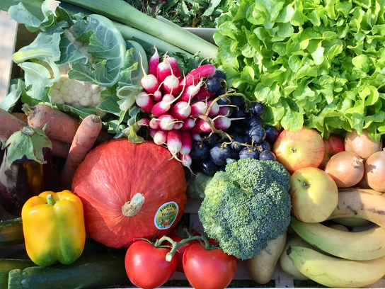 LE GRAND PANIER : Fruits et Légumes de saison