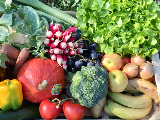 LE PETIT PANIER : Fruits et Légumes de saison