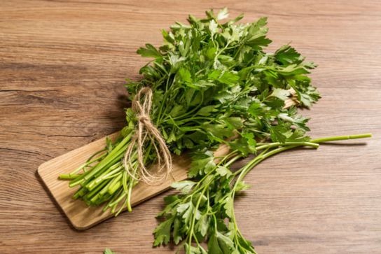 Coriandre en botte