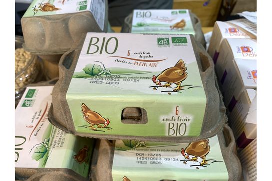 Oeufs extra gros Bio