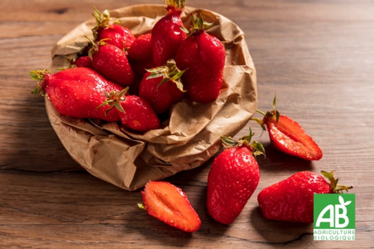 Fraises Bio