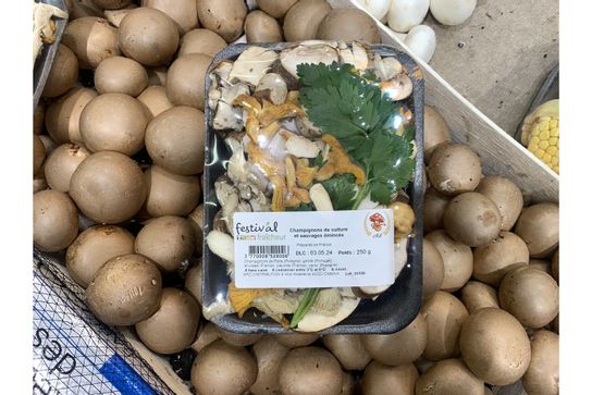 Mélange de champignons