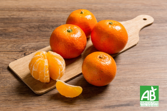 Clémentines Bio