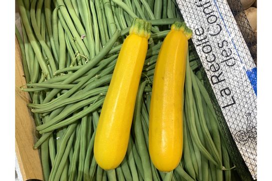 Courgettes jaunes