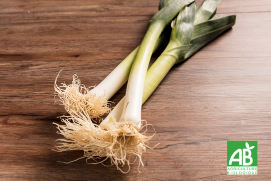 Poireaux Bio
