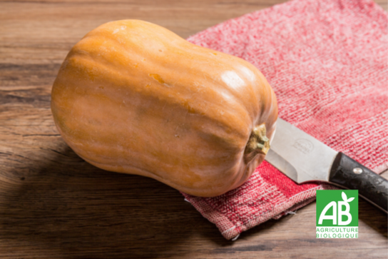 Courge butternut - Bio
