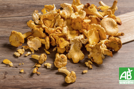 Girolles - Bio
