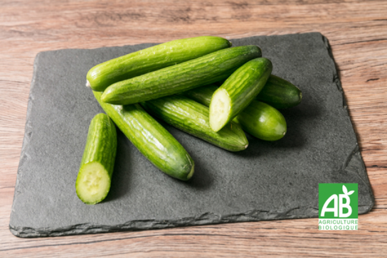 Concombre miniature - Bio