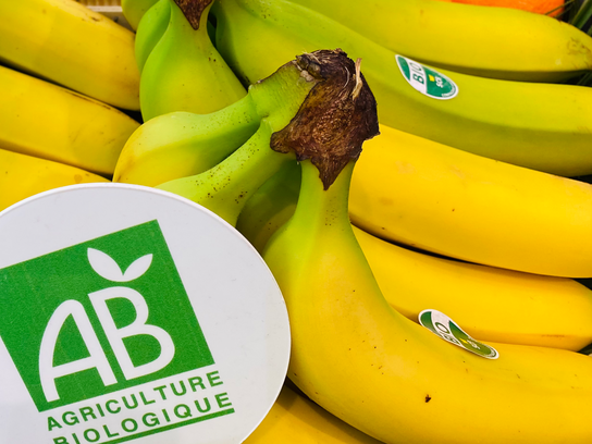 Banane Bio