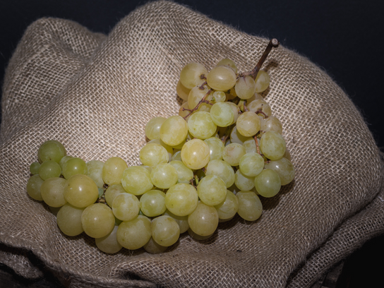 Raisin chasselas