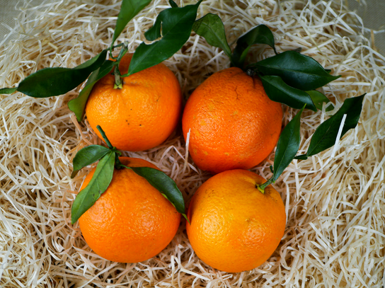 Orange gamin