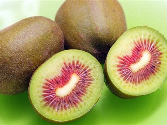 Kiwi rouge x3