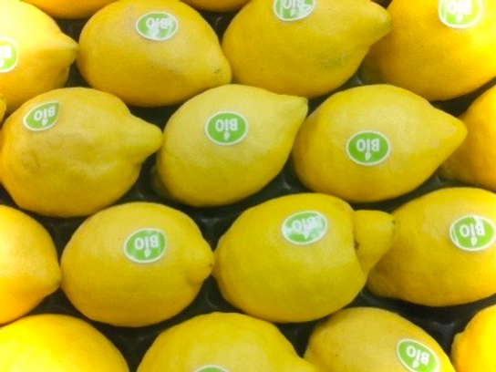 Citron jaune bio