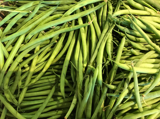 Haricot vert