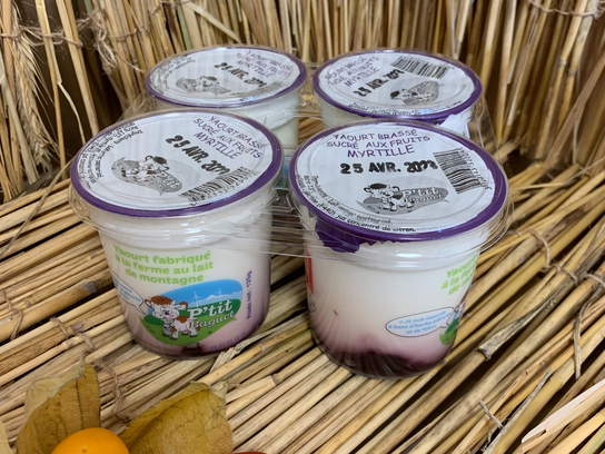 Yaourt brasse sucre aux fruits