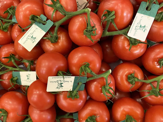 Tomate authentique "Rabelais"