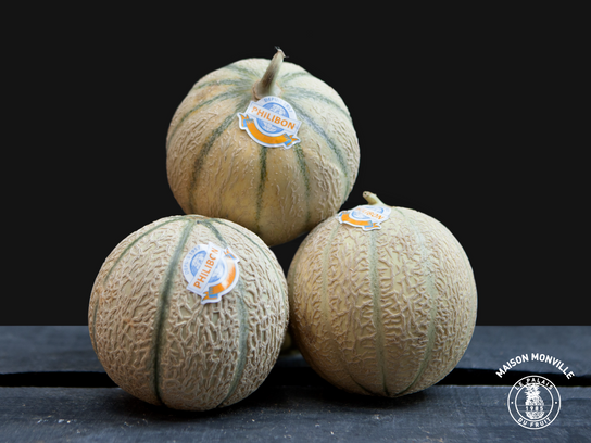 Melon Philibon  (Lot de 3 pièces)