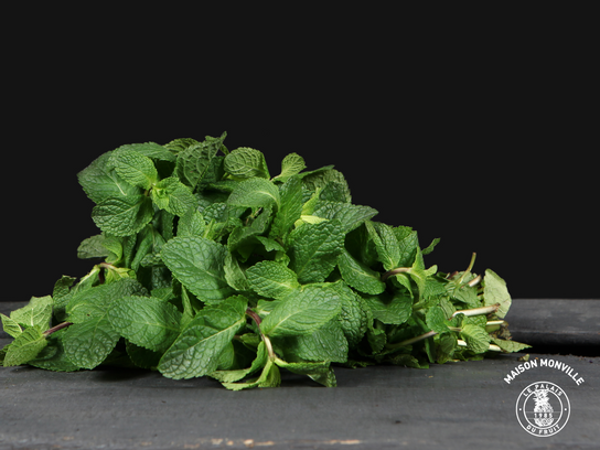 Pack mojito