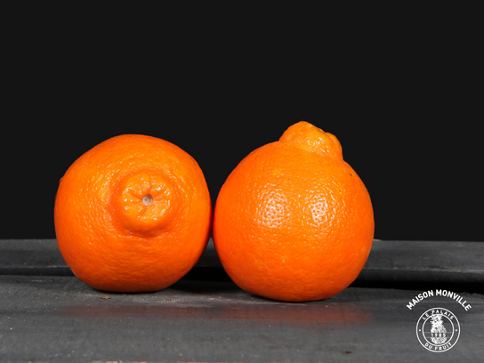 Mineolas (prix pour 1 pièce)