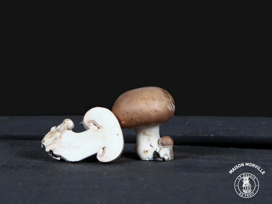 Velouté de champignons (4-6 personnes)