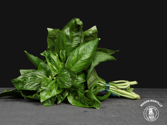 Basilic MARAICHER (Prix pour 1 botte)