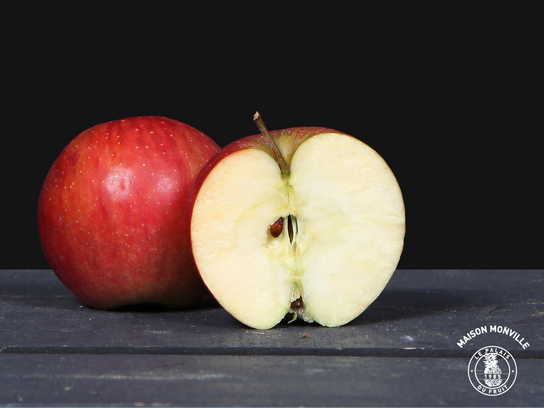 Pomme Jonagored