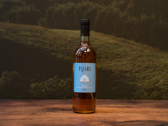Rose Paiara des pouilles