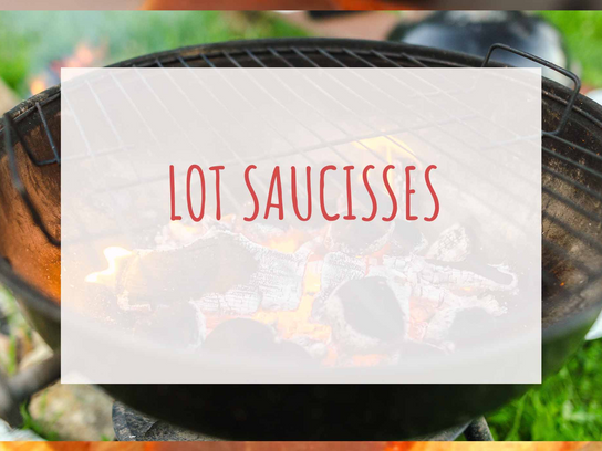 Lot de 19 saucisses de volailles