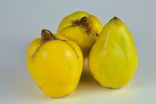 Coings