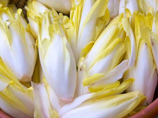 Endives belge