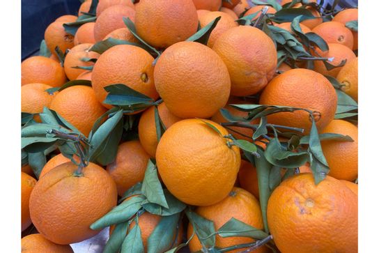 Oranges naturelles