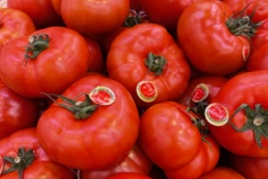 Tomates Gusto