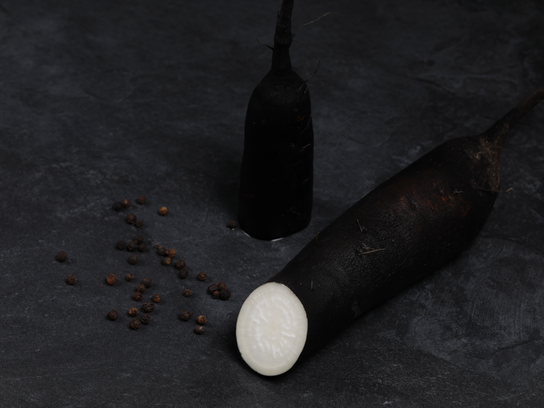 Radis noir